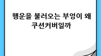 🦉 부엉이쿠션커버 완벽 가이드: 디자인부터 관리까지! ✨