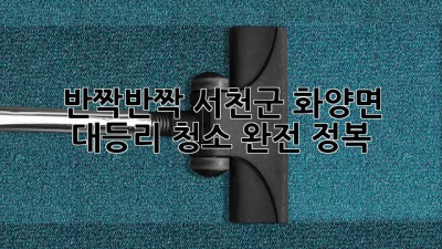 ✨ 반짝반짝! 서천군 화양면 대등리 청소 완전 정복 ✨