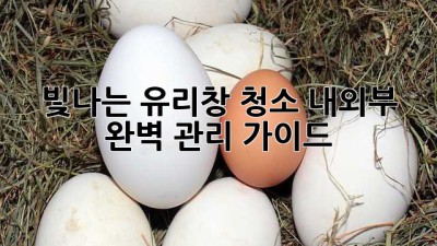 빛나는 유리창 청소: 내외부 완벽 관리 가이드 ✨