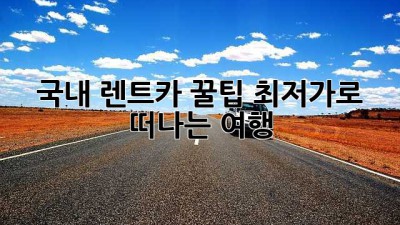 국내 렌트카 꿀팁🍯 최저가로 떠나는 여행!