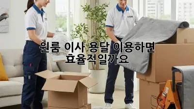 원룸 이사, 용달 이용하면 효율적일까요?